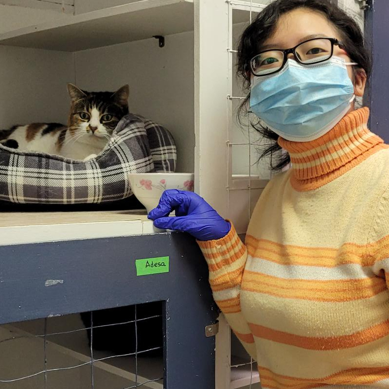 RAPS animal care team member working with cats at the Cat Sanctuary