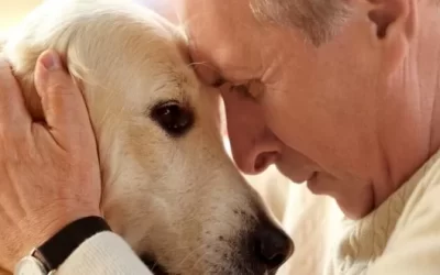 Pets, People and COVID-19