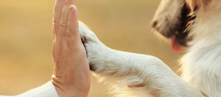 Charitable-Giving-Slide-750×330.jpg