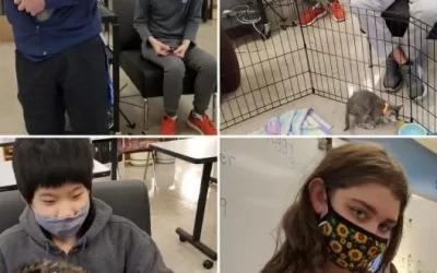Kitten connections in high school