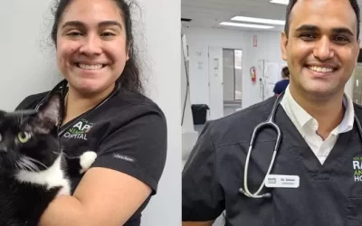 Welcome our new vets!