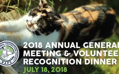 RAPS AGM and Volunteer Recognition, July 18th