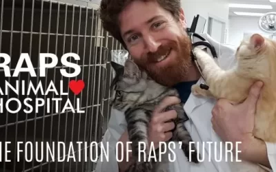 Who owns the RAPS Animal Hospital? You do!