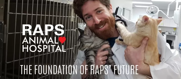 RAPS-INFOGRAPHIC-031418-WEB-750×330.jpg