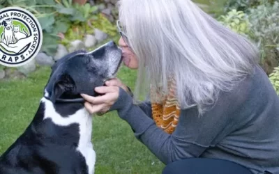 Pretty Jolie found her person—and learned how to be a dog