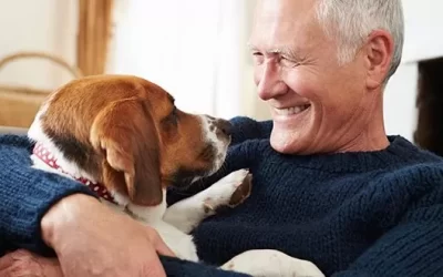 Forever Home: Now What?