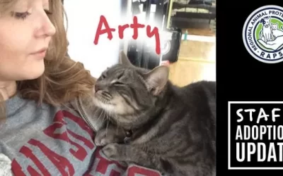 Staff Adoption Stories 1: Artona