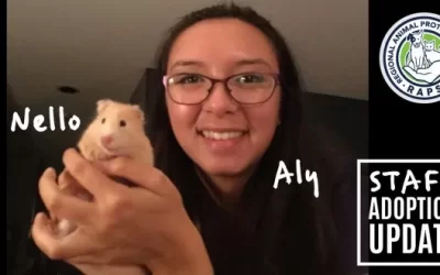 Staff Adoption Stories 3: Penelope