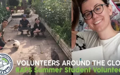 Volunteers from around the globe