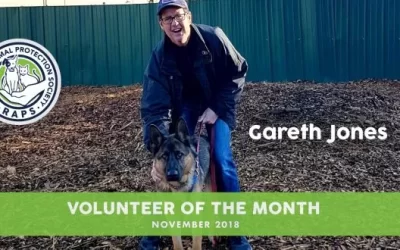 RAPS Volunteer of the Month – November 2018
