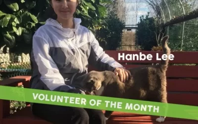 RAPS Volunteer of the Month – December 2018