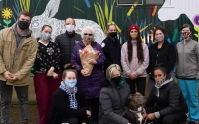 Changes at the Regional Animal Protection Society