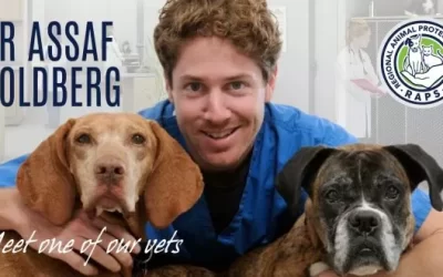 Meet RAPS’ vets: Dr. Assaf Goldberg