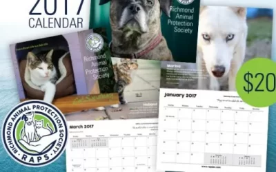 Help Share RAPS’ Calendar