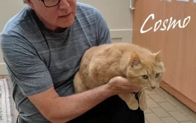 Cosmo goes home – after a year!