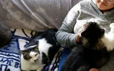 RAPS’ Secret Weapon: Kitty Comforters