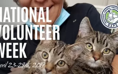 RAPS Volunteer Appreciation Week – April 23 – 29, 2017