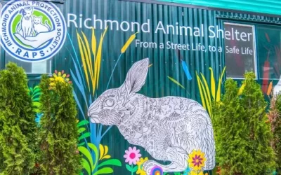 Developments at the Shelter