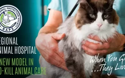 Big News! RAPS Announces New Regional Animal Hospital
