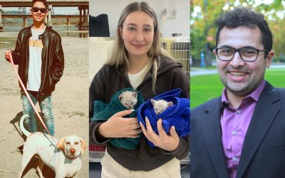 Awesome Summer Interns