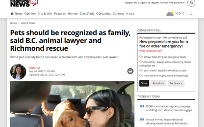 Pets should be recognized as family, says B.C. animal lawyer and Richmond rescue