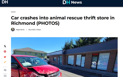 Car crashes into animal rescue thrift store in Richmond