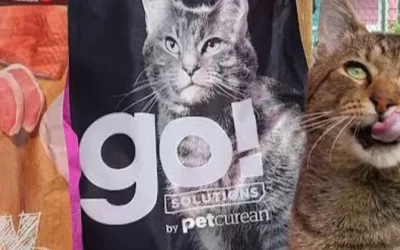 Elvis makes a miraculous recovery