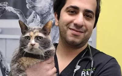 Humans of RAPS: Dr. Matin Imani