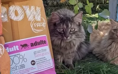 Petcurean Ensures Everyone’s a Winner!