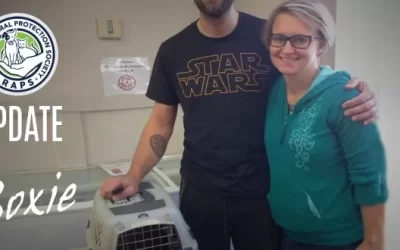 Happy reunion for family and lost cat