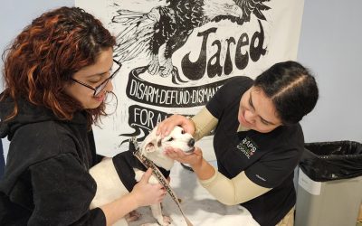 Pets in Need Get Help Indeed