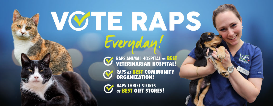 VOTE-RAPS-Banner-BLOG-2024