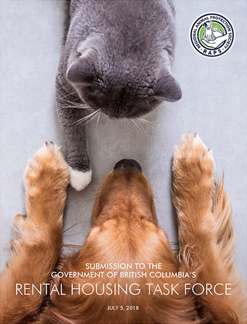 RAPS submission to the BC Rental Housing Task Force advocating for pet-friendly housing
