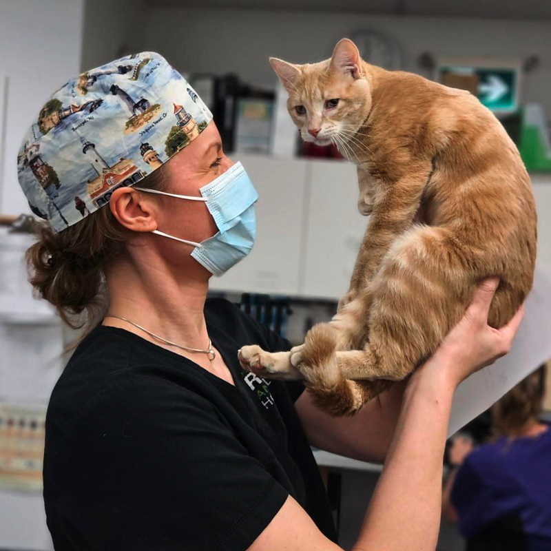 Veterinary care at the nonprofit RAPS Animal Hospital in Richmond, BC