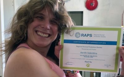 Volunteer of the Month: Aerith Valentina