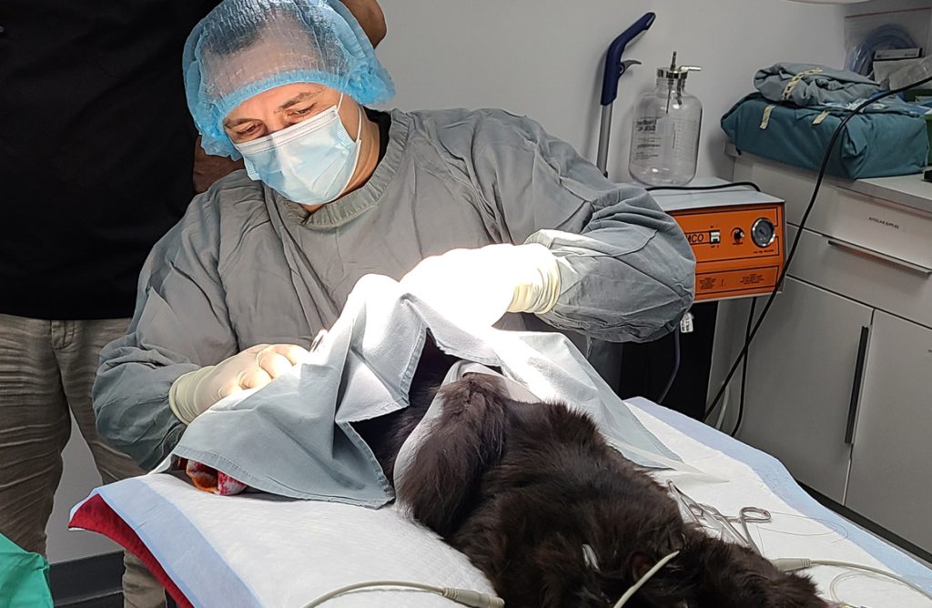 animal hospital expansion