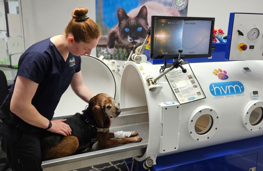 hyperbaric oxygen therapy