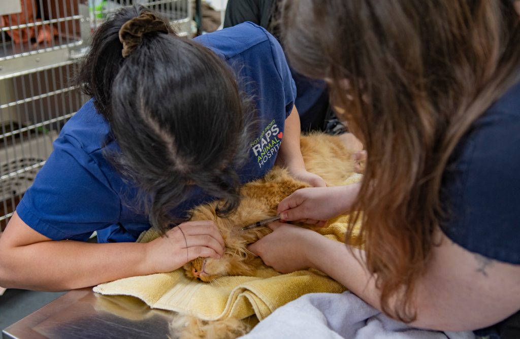 animal hospital expansion