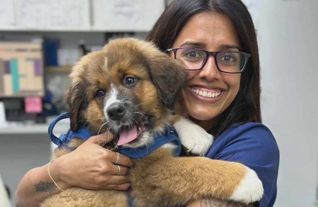 animal hospital expansion