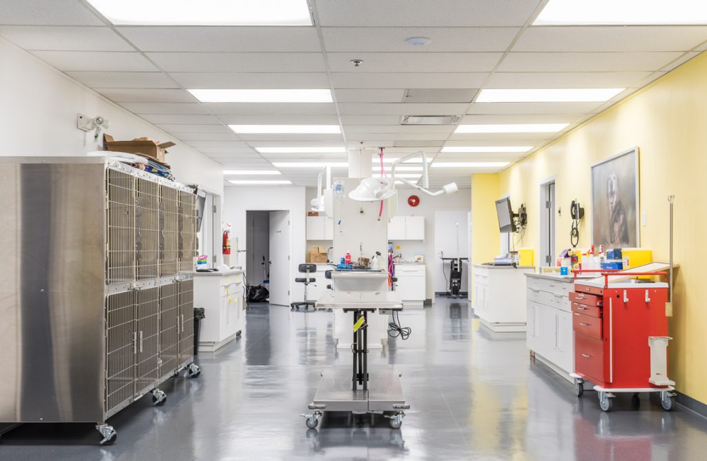 animal hospital expansion