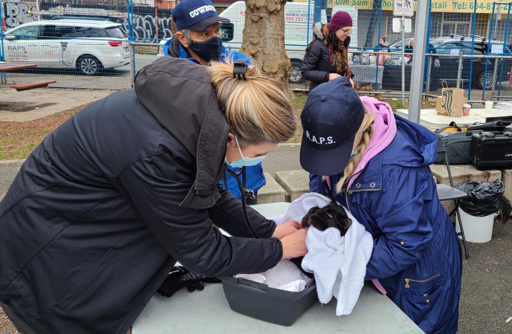 animal hospital community outreach
