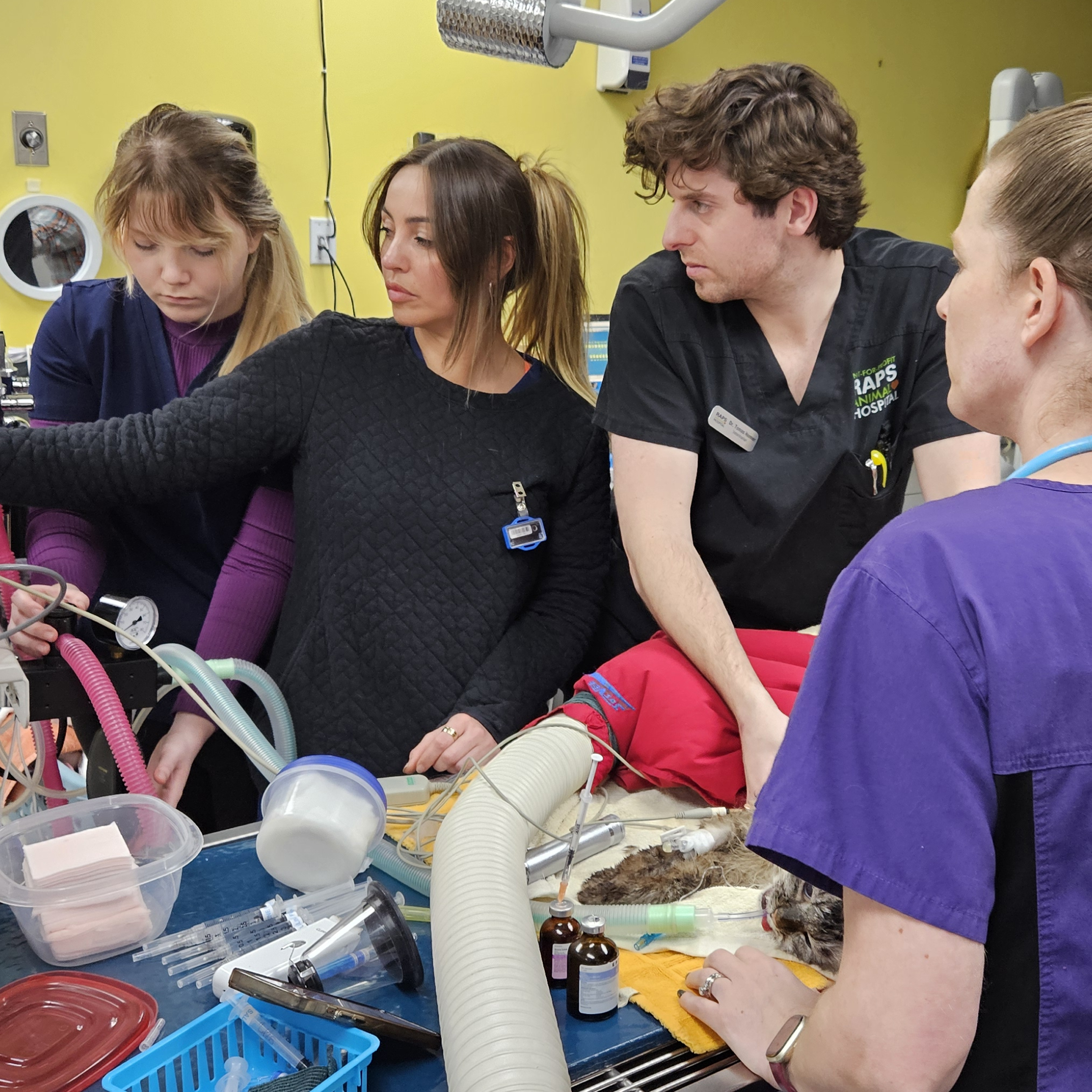 RAPS Animal Hospital veterinary team in Richmond, BC