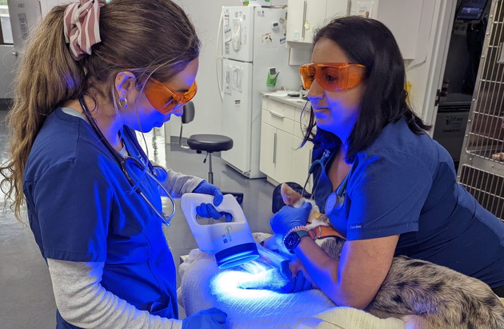 animal hospital expansion