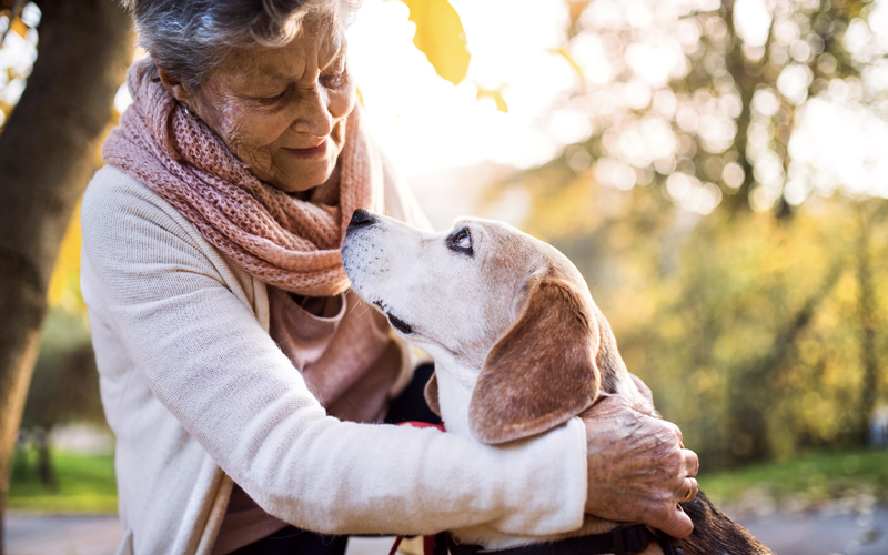 legacy gift woman and dog