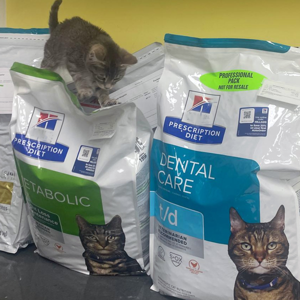 myvetstore