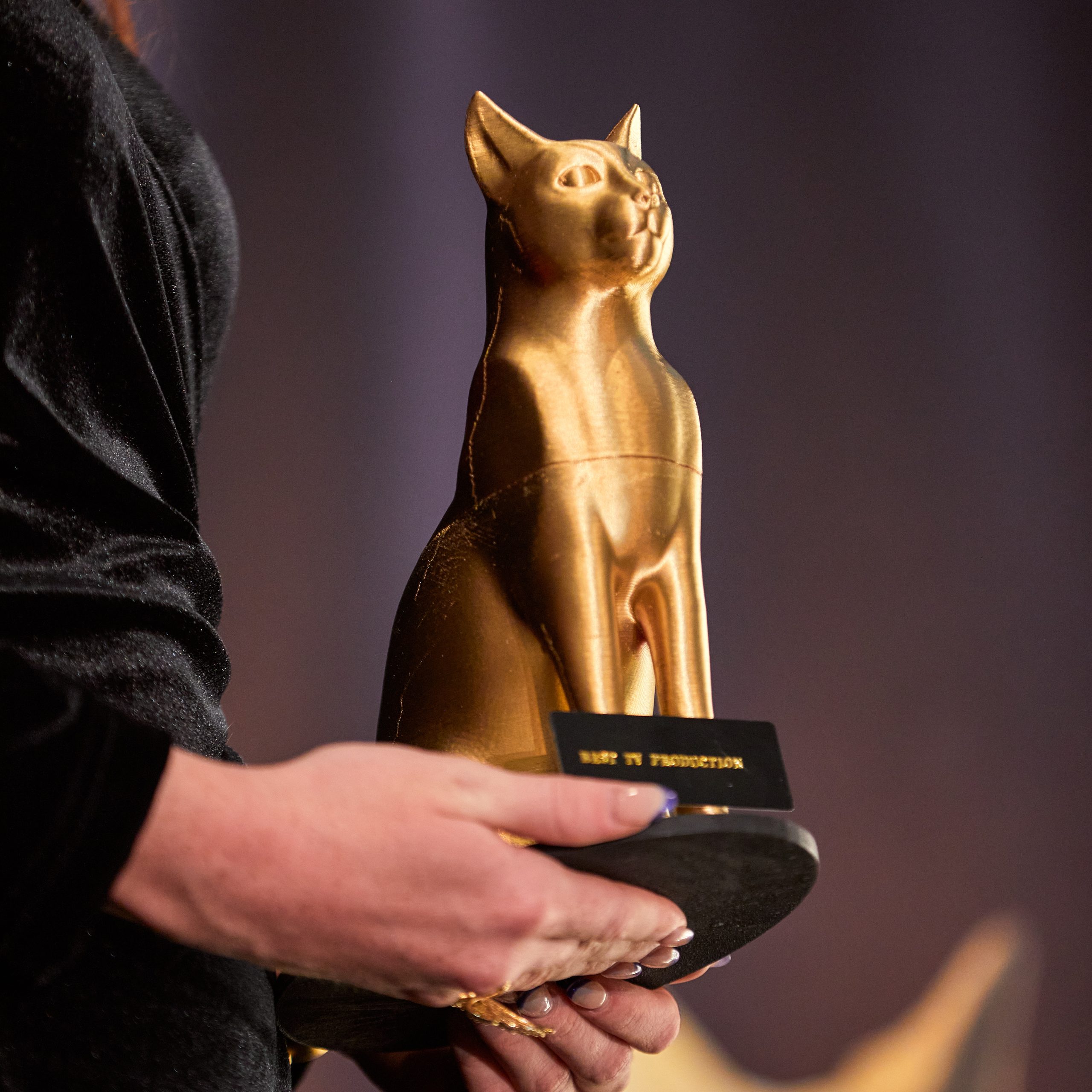 Pets & Pickers television award recognizing the RAPS docuseries