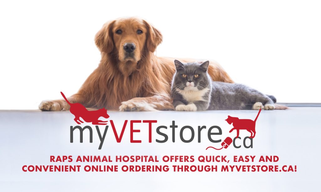 myvetstore raps animal hospital