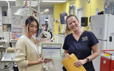 Meet our Volunteer of the Month – Natalie Wong