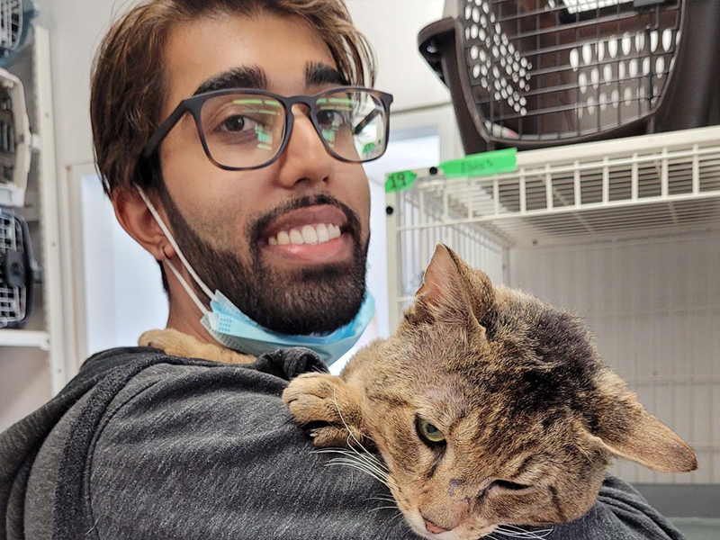 adoption volunteer