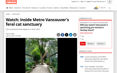 Inside Metro Vancouver’s feral cat sanctuary